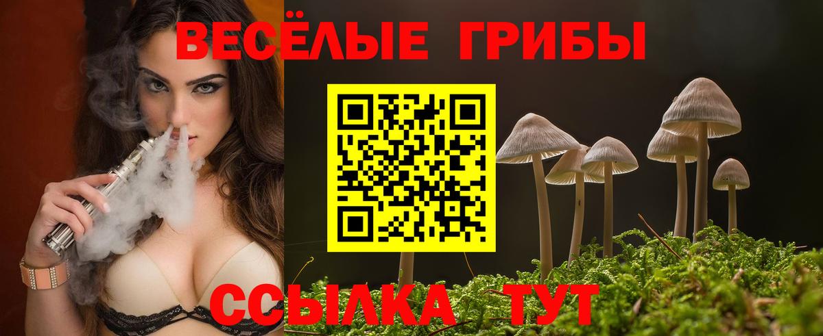 Псилоцибиновые грибы GOLDEN TEACHER Похвистнево